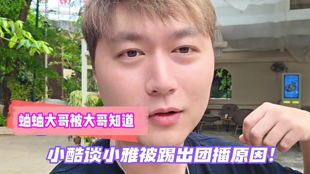 蛐蛐大哥被大哥知道！小酷谈小雅被踢出团播原因！
