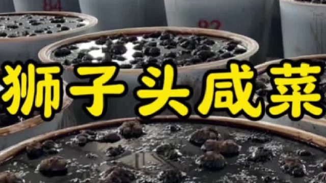 68一斤的狮子头咸菜