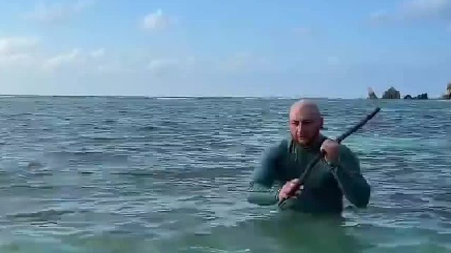 红鱼爬到光头佬裤裆被当场逮住