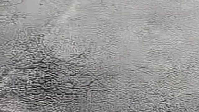 狐狸潜入农户家里偷鸡摸狗