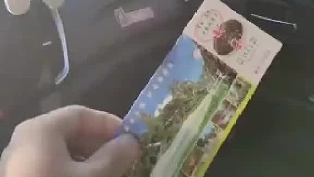 自驾游省钱，朋友藏后备箱进景区。