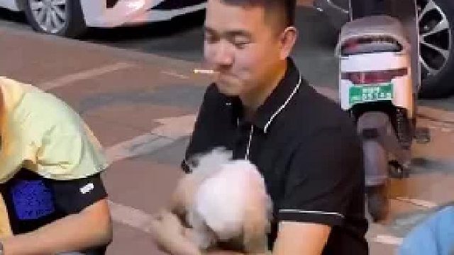 这玩意性格会跟随主人。所以主人是个啥样，狗就是啥样