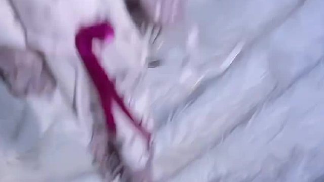 变装 纯御 御萝双修