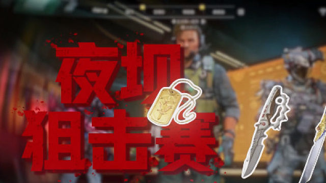 杨-掏-叶 夜坝狙击赛