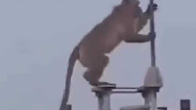 这是大圣觉醒之路