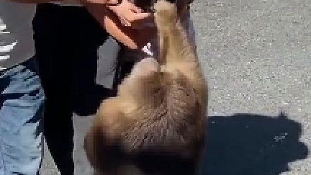 血性去哪了？