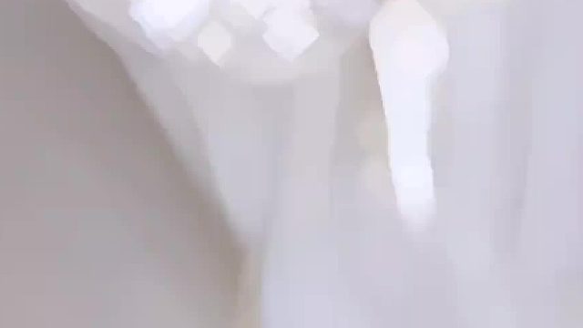 变装 法海你根本不懂爱