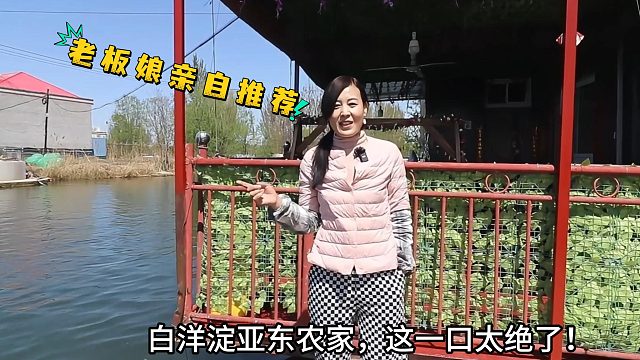 白洋淀景区亚东农家院 正宗水乡农家味 特色炖鱼农家菜超实在-民宿汇