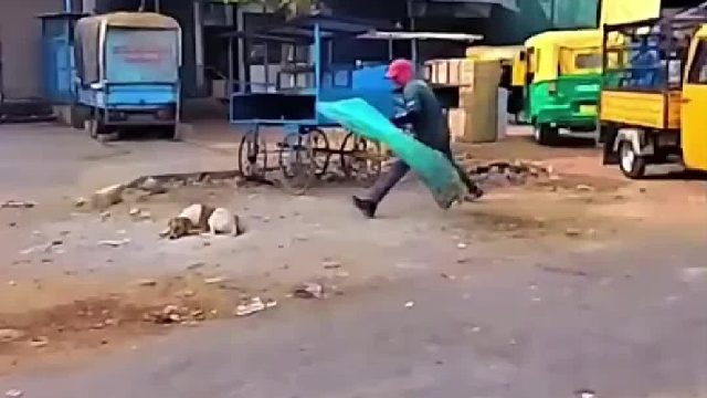 村民自发组建抓狗队对流浪恶犬大规模清理