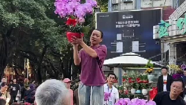 玩的就是反应速度！！！120块的蝴蝶兰！