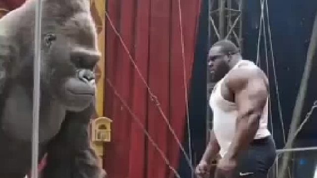 银背大猩猩与猛男力量对决！