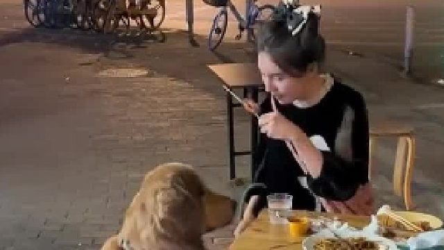 小姐姐带狗狗出门吃烧烤，饭店阿姨语出惊人