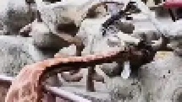 把锤子都抡冒烟了