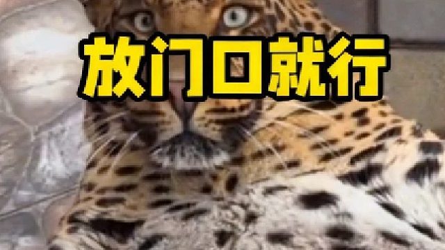 呦~死鬼快来喝茶啊