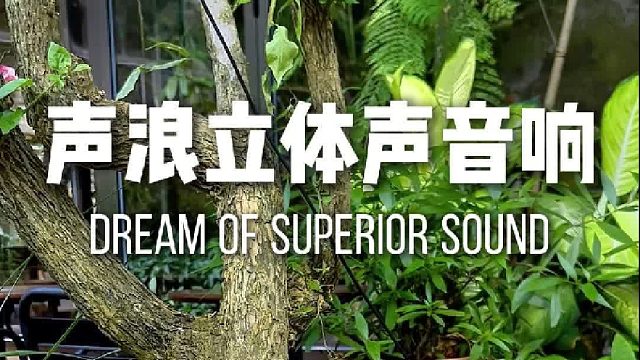小身材，震撼大音量！声浪原木音响