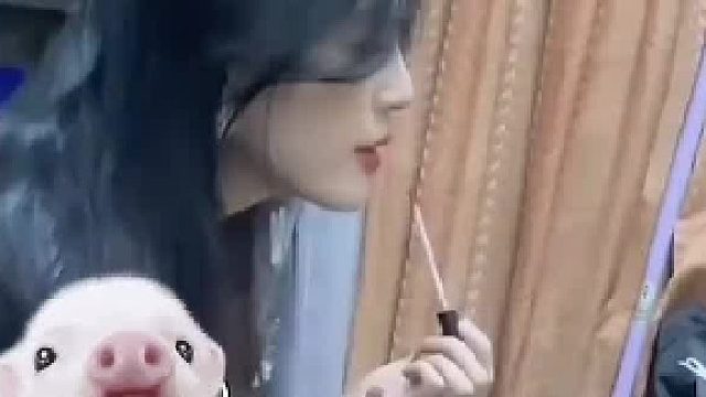 你会喜欢第几个？