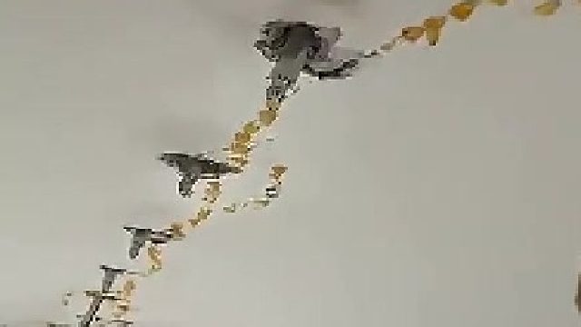 楼上漏水像下雨，业主拒修耍无赖！楼下只能“天花板打针”！