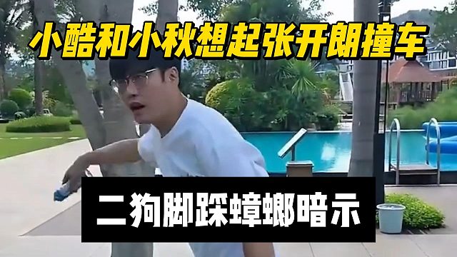 小酷和小秋想起张开朗撞车，二狗脚踩蟑螂暗示