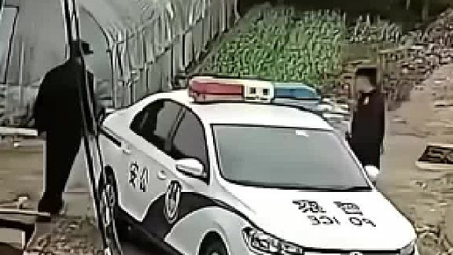 报警被困水塘，警察来了一看傻眼了……