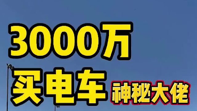 什么人会花3000万买电车？