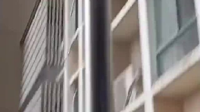 这样故意丢重物必须枪毙