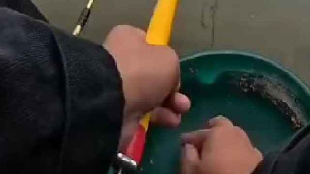 只有钓鱼佬才知道这个视频的含金量