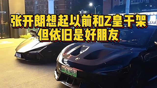 张开朗想起以前和Z皇干架，但依旧是好朋友