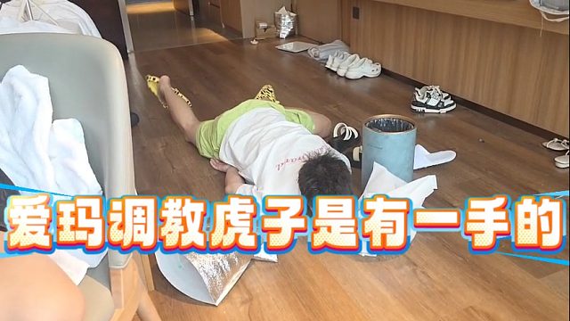 爱玛调教虎子是有一手的，虎子这小玩意儿谁研究的呢