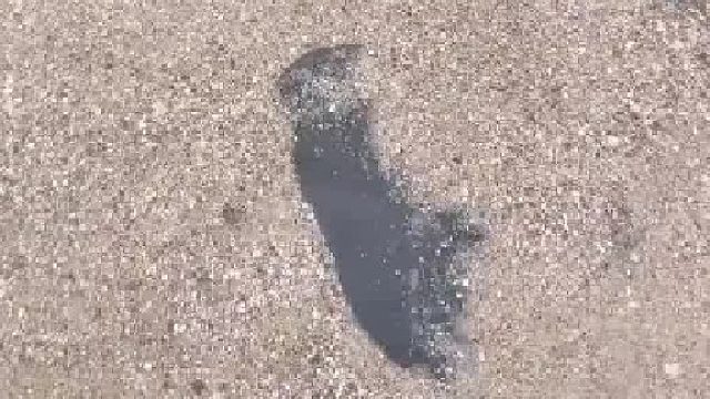 赶海的无语瞬间：只要我不尴尬，尴尬的就是别人！