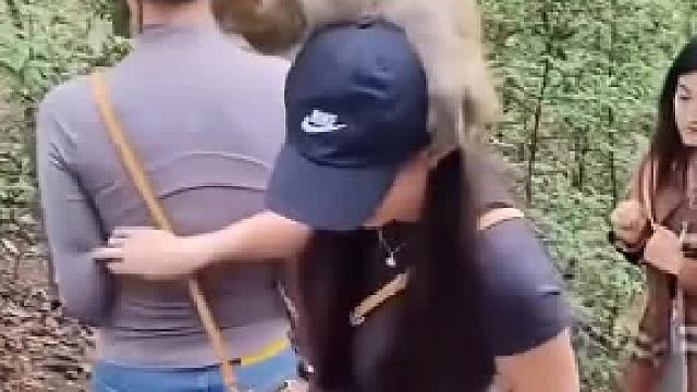 我要像猴哥这样干的话！会是什么结果