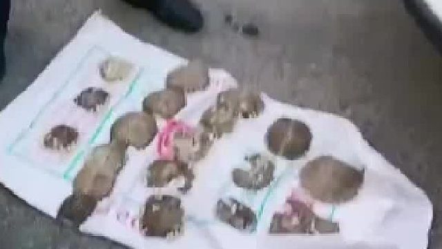 男子车压坏他人鳖盖，索赔两万被吓坏司机，民警出面调解