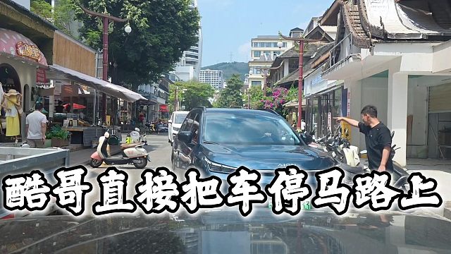 酷哥派虎子去调解一下交通，不成想对面不给面子，酷哥就直接把车停马路上