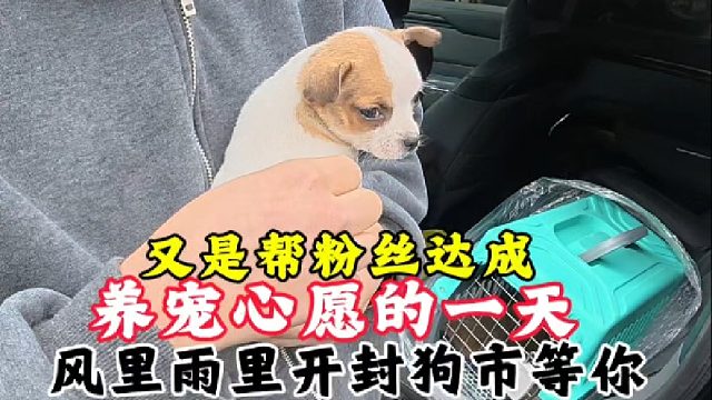 真好！又是帮粉丝完成养宠心愿的一天，非常满意就是对我最大认可
