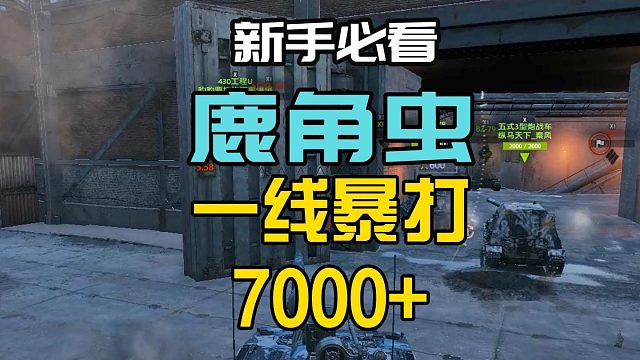 走在冲锋路上的鹿角虫