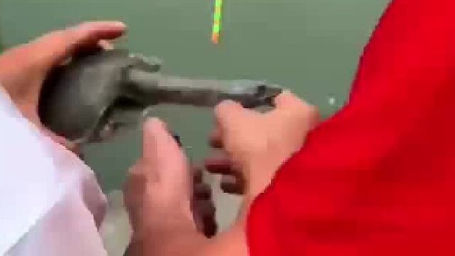 龟：没事你烧吧，我咬咬牙就忍过去了