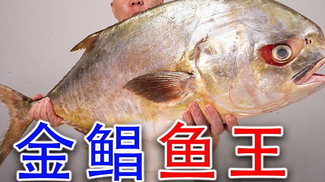 可遇不可求的鱼王，20斤巨大金鲳鱼，它真的好吃吗？