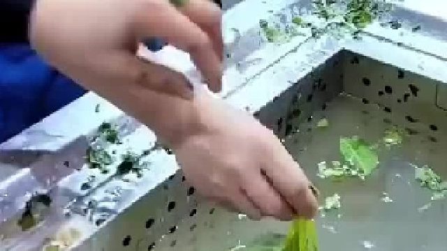 手放进去毫发无伤，菜一沾就碎！这才是真正的“冻眠锁鲜”黑科技