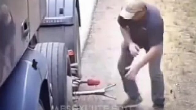 这狗太牛逼了