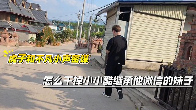 虎子和不凡小声密谋，怎么干掉小小酷继承他微信的妹子