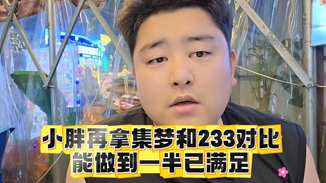 小胖再拿集梦和233对比，能做到一半已满足