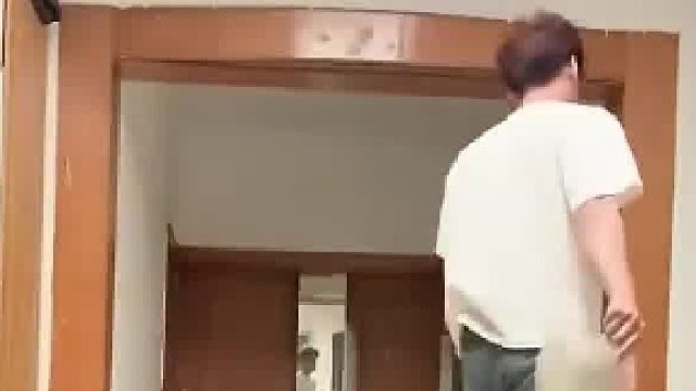 一群大胖猫