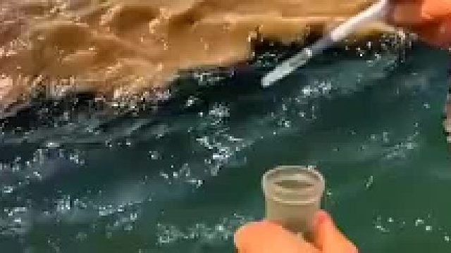 黄海和渤海分界线，大自然也太神奇了