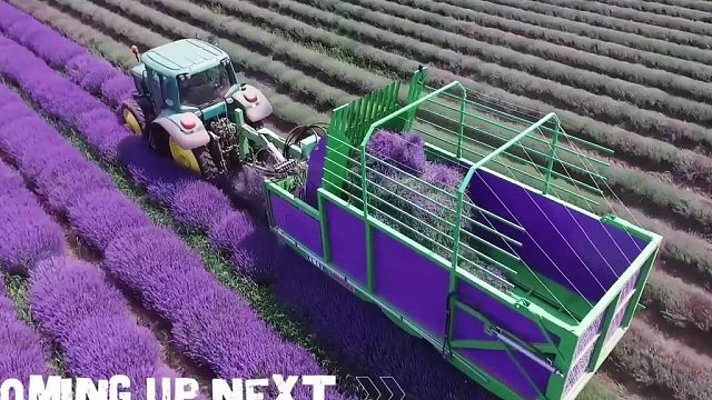 揭秘顶级香水制作过程！参观世界香水之都那些你用过的顶级香水
