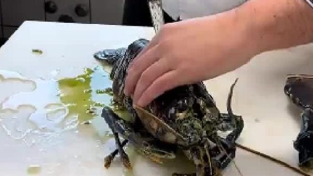 龙虾拿命在给你暗示，还不醒悟吗？