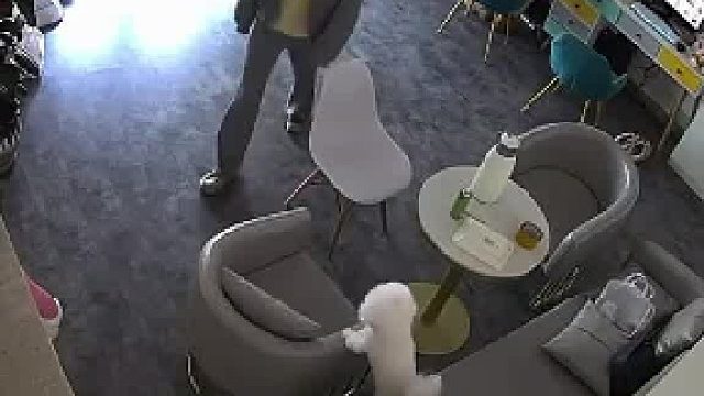 朋友抱狗不小心把狗摔了，女子急得崩溃大哭
