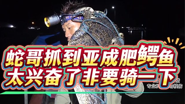 蛇哥抓到亚成肥鳄鱼，太兴奋了非要骑一下
