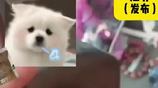 爸爸发现孩子愉偷藏的手机后 一边吐槽一边把手机放了回去