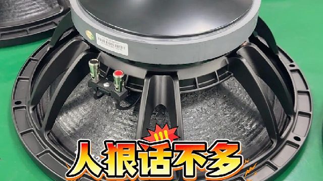 15 寸专业低音喇叭，100 芯 220 磁精工打造！