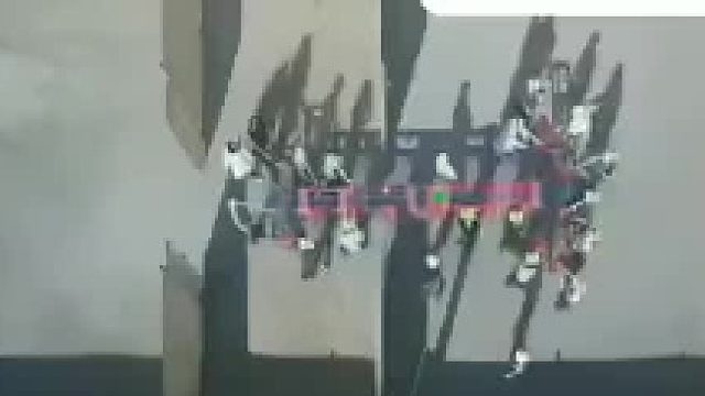 冷知识：蚂蚁是可以交流的