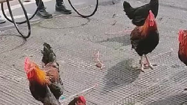 这老板太黑了